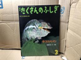 ぼくはカメレオン　たくさんのふしぎ　1997年3月号　144号