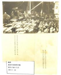 戦前 東京中央卸売市場鮮魚市場の写真図版