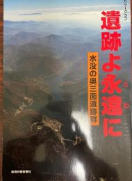 遺跡よ永遠に : 水没の奥三面遺跡群 : カラーグラフ