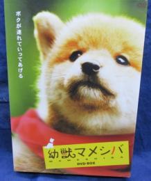 幼獣マメシバ DVD-BOX