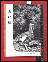 【岩波写真文庫31】山の鳥　1954年