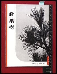 【岩波写真文庫77】針葉樹　1954年
