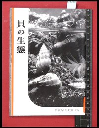 【岩波写真文庫126】貝の生態　1954年