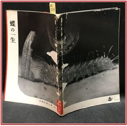 【岩波写真文庫 No.11　蝶の一生】岩波書店　1850年