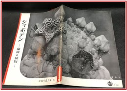 【岩波写真文庫 No.81　シャボテン】岩波書店　1953年