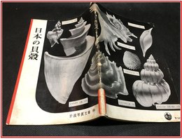 【岩波写真文庫 No.99  日本の貝殻】岩波書店　1953年
