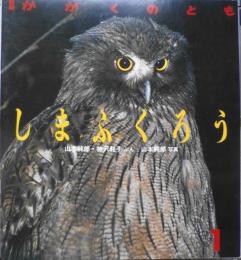 しまふくろう　山本純郎　神沢利子　かがくのとも238号　1989年初版　福音館書店　q
