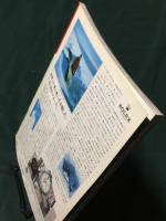 別冊太陽　　特集 : 骨董紀行 1989年8月号 通巻336号