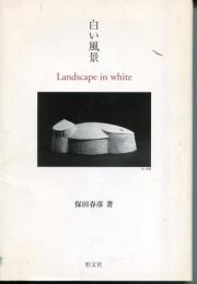 白い風景　Landscape in white