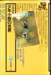 少年小説の世界 ≪角川選書166≫