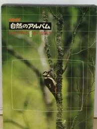 NHK自然のアルバム 1 日本の四季 森の息吹き (ASCII video-CD & book)