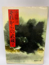 それからの武蔵　6　天命篇