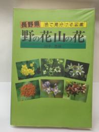 長野県/野の花山の花