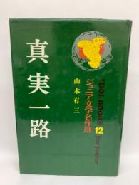 アイドル・ブックス・12　真実一路