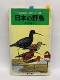 日本の野鳥 野外での見分け方