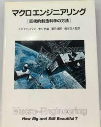 マクロエンジニアリングと環日本海経済圏開発構想
