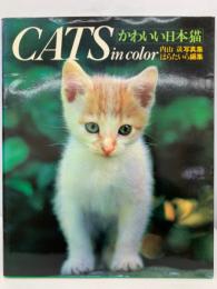 CATS　IN COLOUR