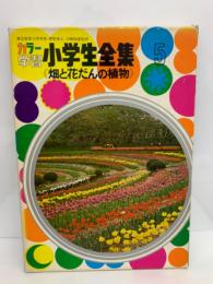 カラー学習 小学生全集 第5巻　畑と花だんの植物