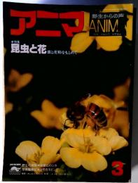 アニマ　1977年3月号　通巻48号