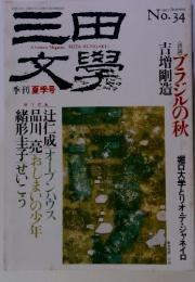 A Literary Magazine MITA BUNGAKU  季刊夏季号　1993　Summer　No.34