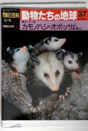 朝日百科 動物たちの地球37 3/8 哺乳類Ⅰカモノハシ・オポッサム
