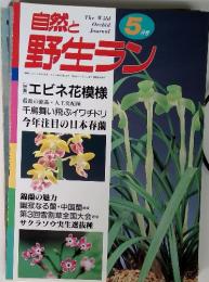 自然と 野生ラン 1998年5月 エビネ花模様