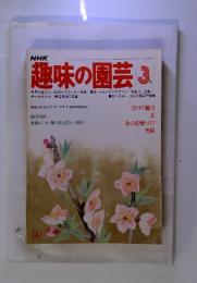 NHK趣味の園芸　3月　ぼけの魅力 芝春の花壇づくり 雪椿