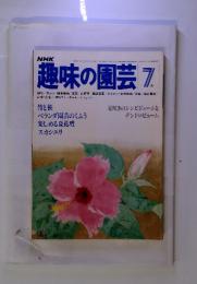NHK趣味の園芸 7月　竹と笹 ベランダ園芸のくふう楽しめる夏花壇 スカシユリ