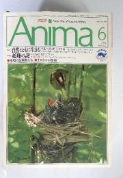 Anima　1992年6月　No.237