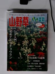 山野草　とミニ盆栽　偶数月隔月刊 2007 初夏 VOL. 62