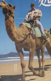 駱駝（らくだ）日本も外つ国もわが住処　2006年2～3月号