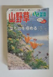 山野草とミニ盆栽　2008年初夏号　Vol.68