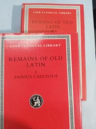 Remains of old Latin