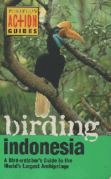 Birding Indonesia