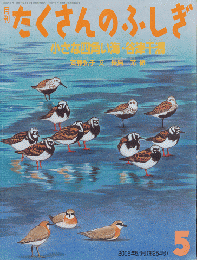 月刊たくさんのふしぎ　2006年5月号（第254号）　小さな四角い海・谷津干潟