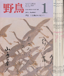 野鳥　1989年1月-12月号（全11冊）