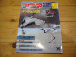 月刊誌 アニマ　№119　1983年1月号　特集：タンチョウの舞　鶴の行動学