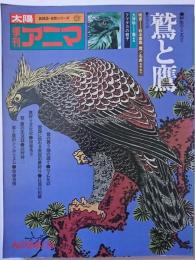 季刊アニマ　野生のこころ2　鷲と鷹　1975年秋