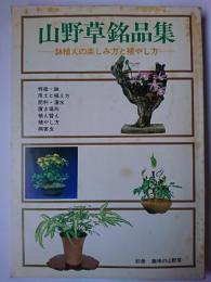 山野草銘品集 : 鉢植えの楽しみ方と殖やし方 ＜別冊趣味の山野草＞