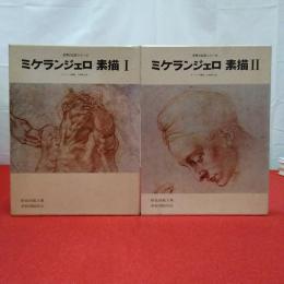 世界の巨匠シリーズ ミケランジェロ 素描 1.2 2巻セット