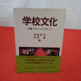 学校文化 : 深層へのパースペクティブ