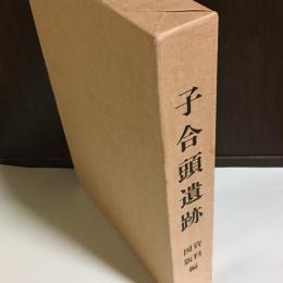 子合頭遺跡 : 神奈川県厚木市子合頭遺跡調査報告書