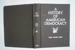 A History of American Democracy　third edition