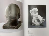 彫刻と工芸 近代日本の技と美