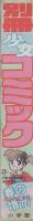 別冊少女コミック　昭和56年春の増刊　-昭和56年4月-　表紙画・赤石路代