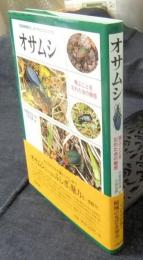 オサムシ　飛ぶことを忘れた虫の魅惑　琵琶湖博物館ポピュラーサイエンスシリーズ