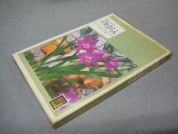 小型洋らん　園芸ガイド4　カラーブックス425