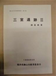 三室遺跡 3 調査概要