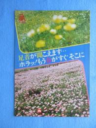 〈パンフ〉日本交通公社発行『エース　足音が聞こえます　ホラツもうすぐ春がすぐそこに』