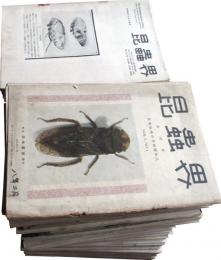 昆虫趣味の会季刊雑誌　昆虫界　創刊号～第80号内